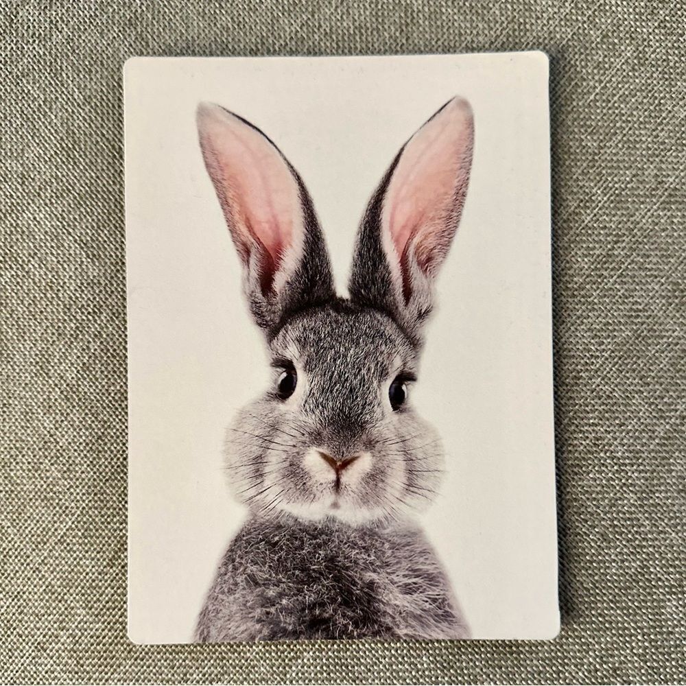 Cute Rabbit Print  Magnet - Picture 2 of 5